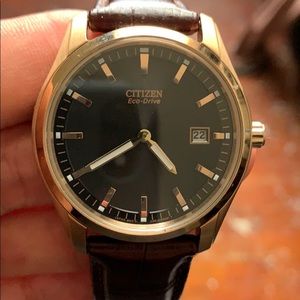 Citizen eco watch